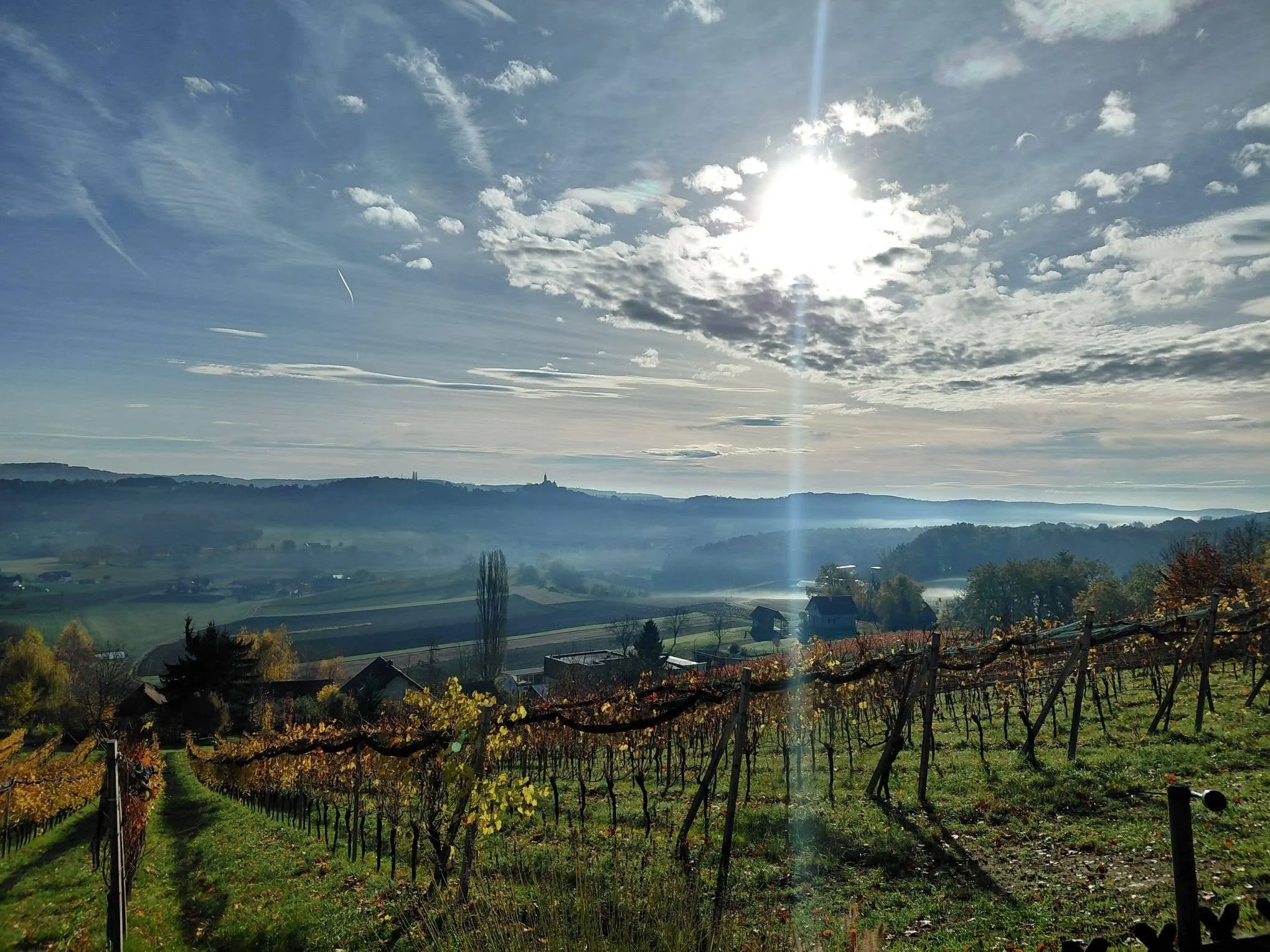 Panoramablick über die Weinberge beim Ferienhaus Magdalena